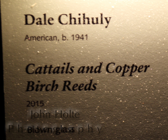 Biltmore Estate & Chihuly Exhibit, Asheville, NC     #biltmore #asheville #chihuly